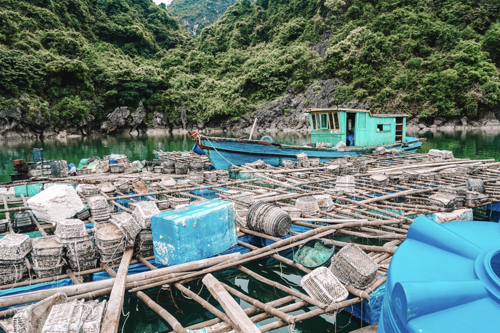 Set Sail Along Halong Bay in Luxury With Genesis Regal Cruise